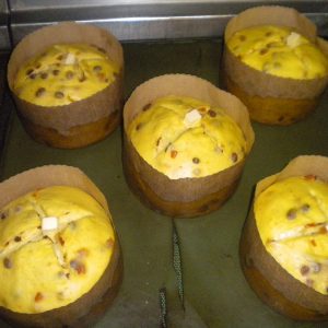 panettone_lievitazione