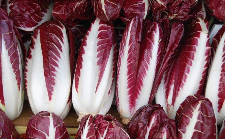 Zuppa_radicchio